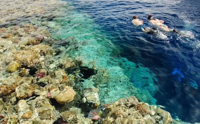 Safari por Dahab y Esnórquel en Blue Hole